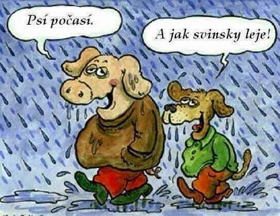 Vtip Nerařazeny