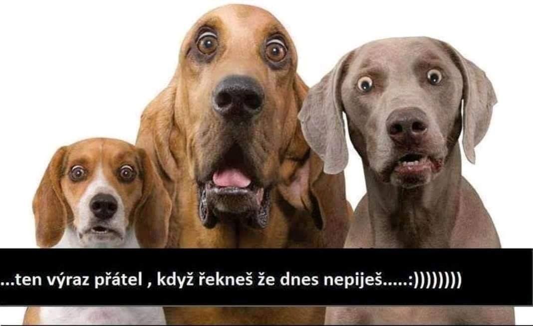 Vtip Nerařazeny