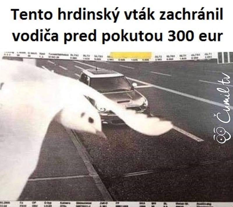 Vtip Nerařazeny