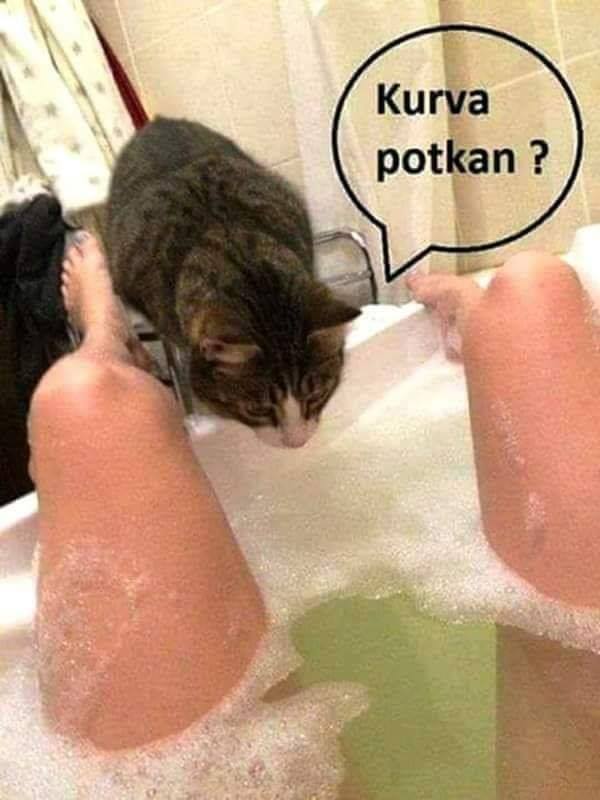 Vtip Sex