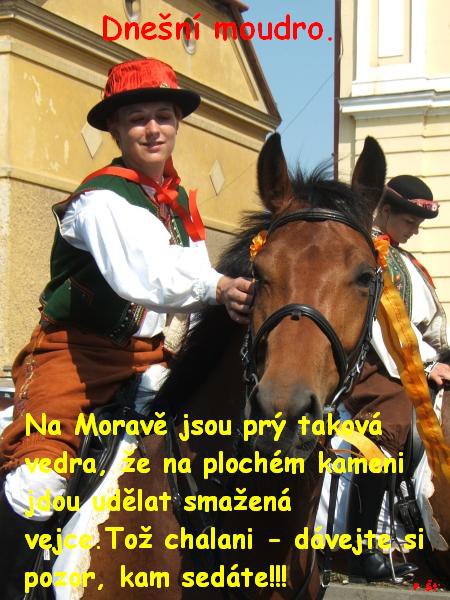 Vtip Nerařazeny