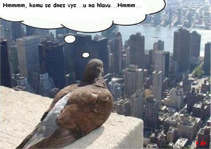 Vtip Nerařazeny