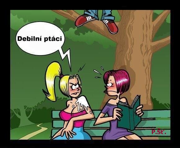 Vtip Nerařazeny