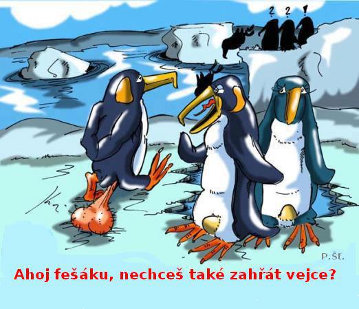 Vtip Nerařazeny