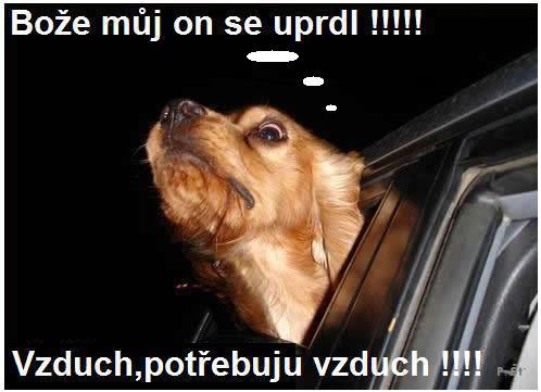Vtip Nerařazeny