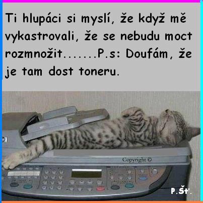 Vtip Nerařazeny
