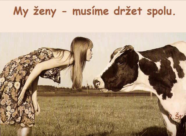 Vtip Nerařazeny