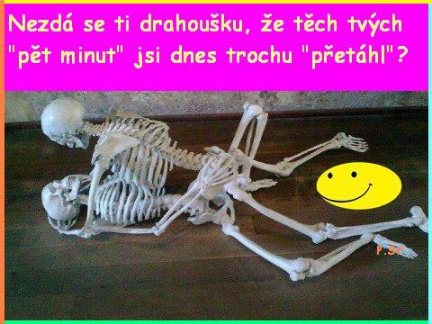 Vtip Nerařazeny