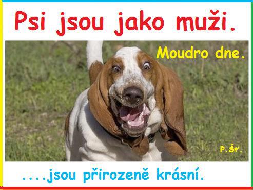 Vtip Nerařazeny