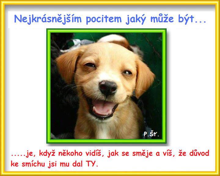 Vtip Nerařazeny