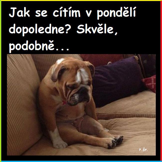 Vtip Nerařazeny
