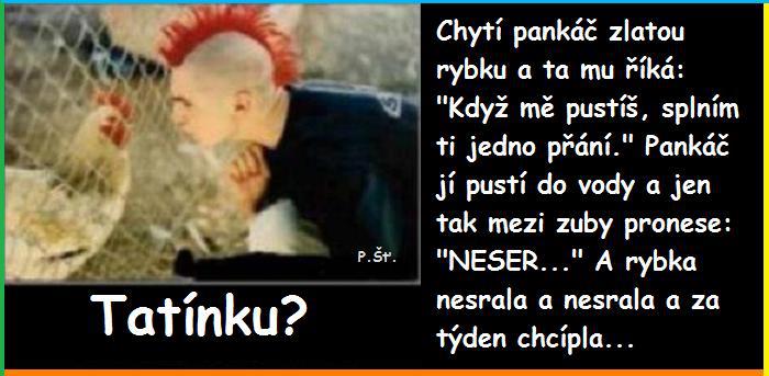 Vtip Nerařazeny