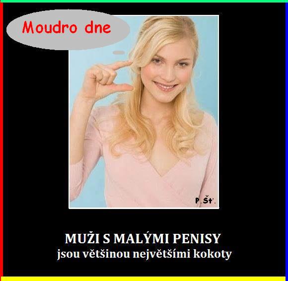 Vtip Nerařazeny