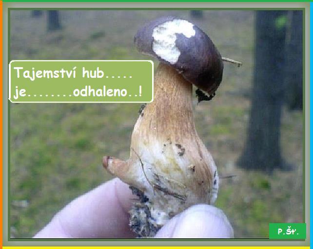 Vtip Nerařazeny