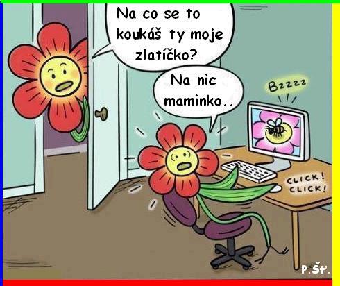Vtip Nerařazeny