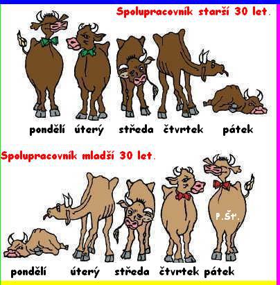 Vtip Nerařazeny