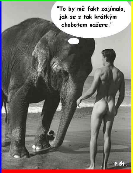 Vtip Nerařazeny