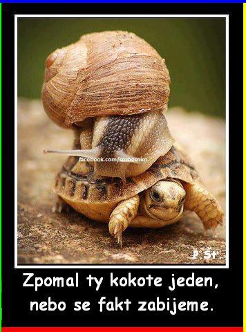 Vtip Nerařazeny
