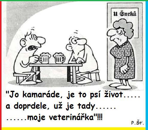 Vtip Nerařazeny
