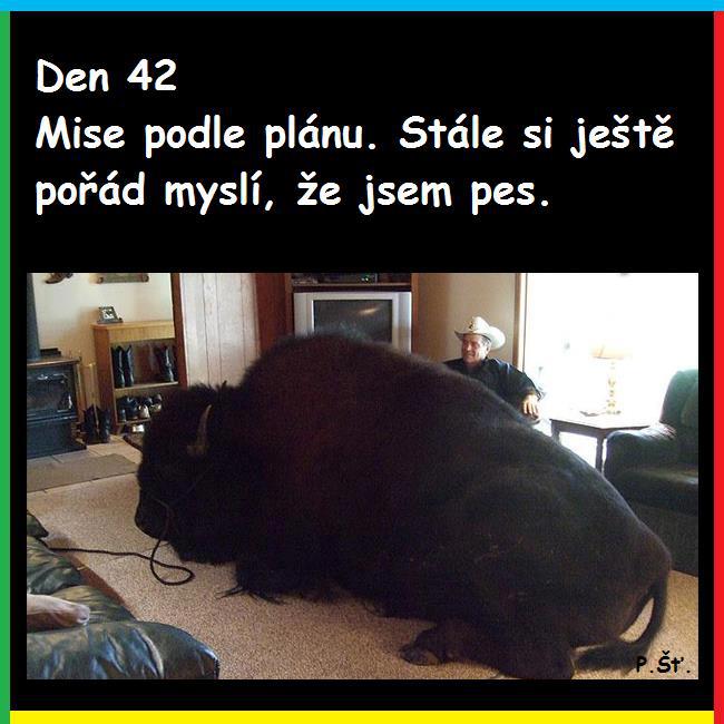 Vtip Nerařazeny