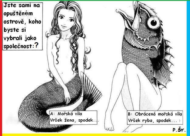 Vtip Nerařazeny