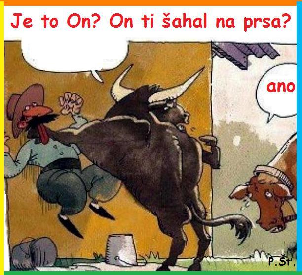 Vtip Nerařazeny