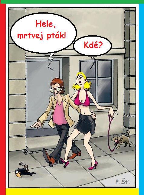 Vtip Nerařazeny
