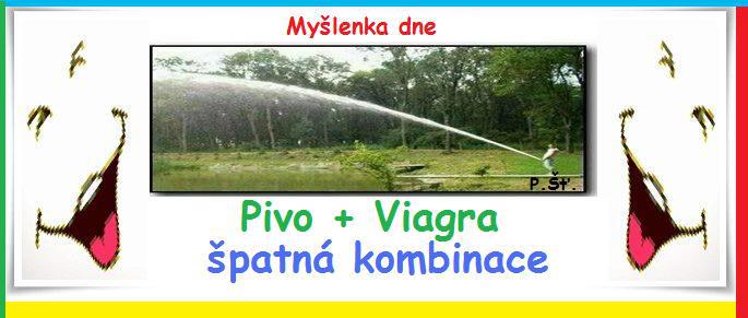 Vtip Nerařazeny