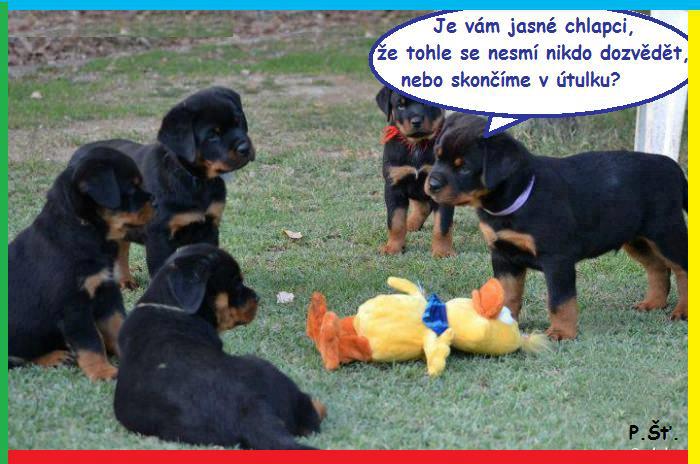 Vtip Nerařazeny