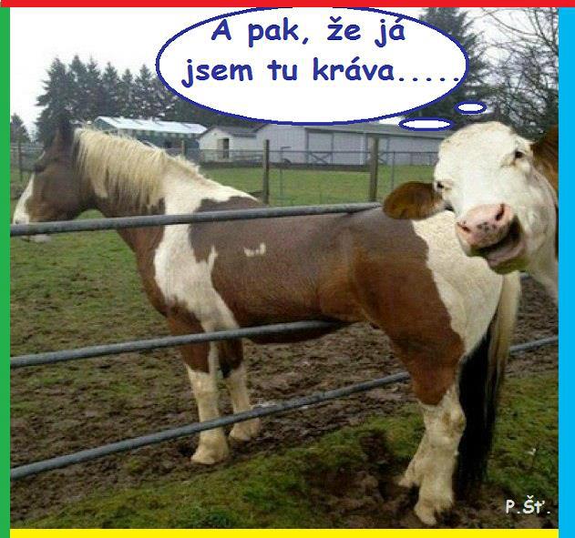Vtip Nerařazeny