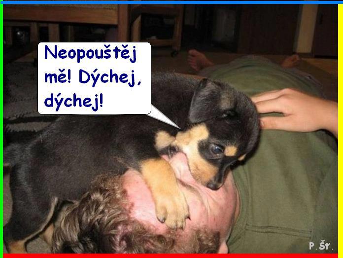 Vtip Nerařazeny