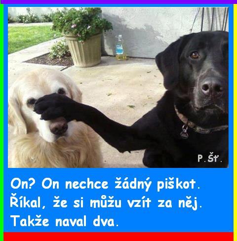 Vtip Nerařazeny