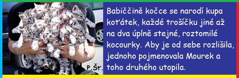 Vtip Nerařazeny