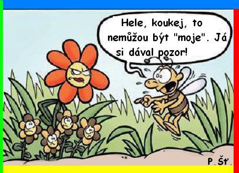 Vtip Nerařazeny