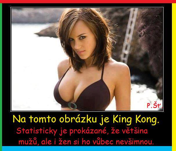 Vtip Nerařazeny