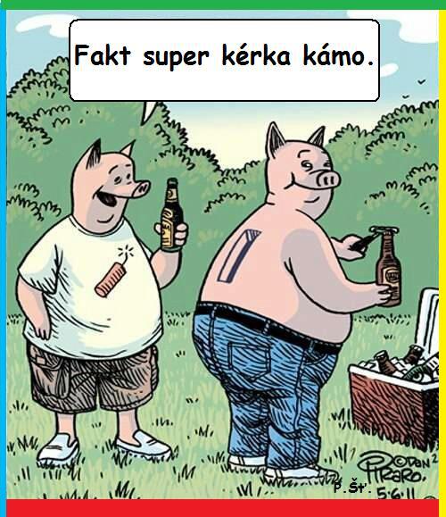 Vtip Nerařazeny