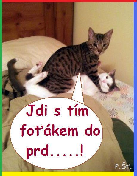 Vtip Nerařazeny