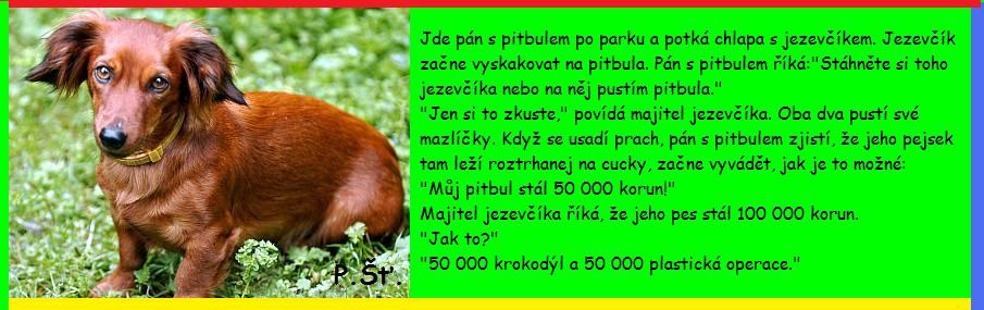 Vtip Nerařazeny