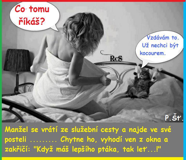 Vtip Nerařazeny
