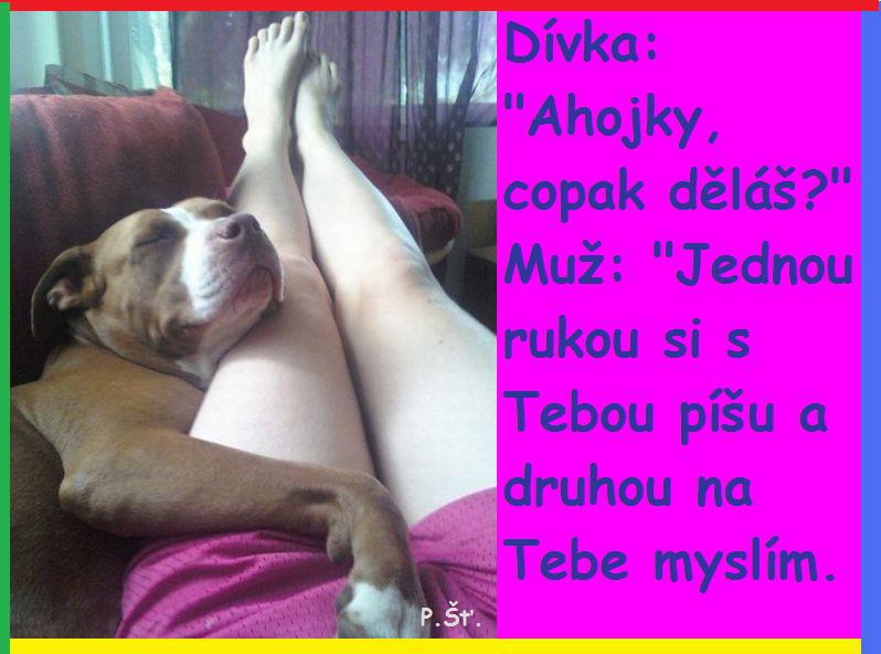 Vtip Nerařazeny
