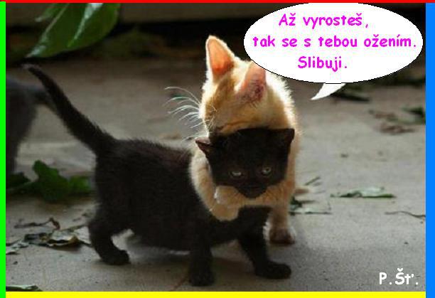 Vtip Nerařazeny