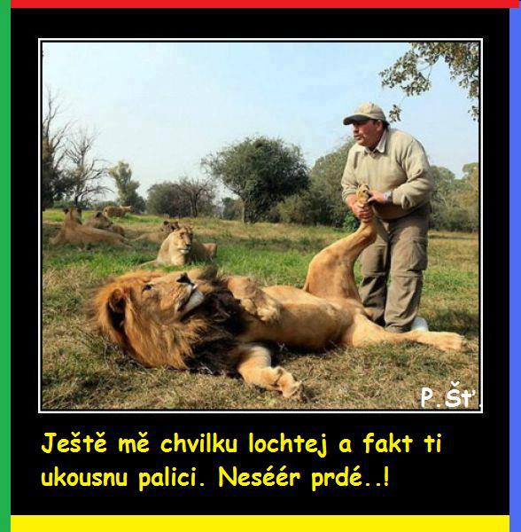 Vtip Nerařazeny