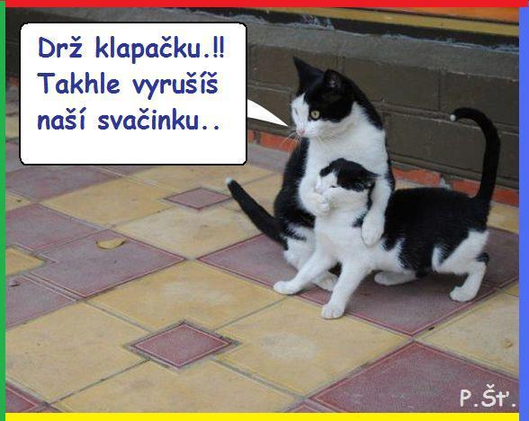 Vtip Nerařazeny