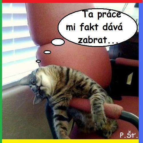 Vtip Nerařazeny