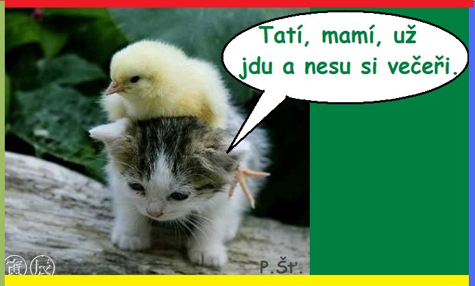 Vtip Nerařazeny