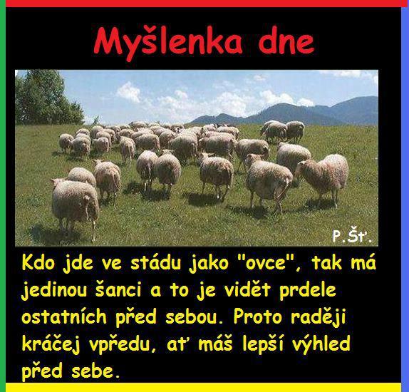 Vtip Nerařazeny