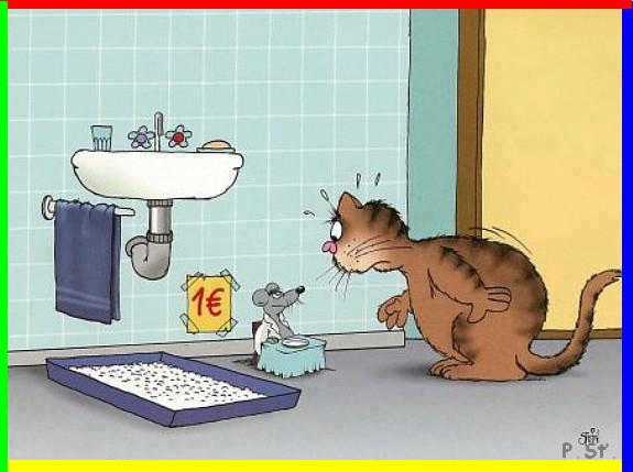 Vtip Nerařazeny