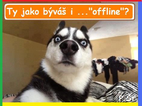 Vtip Nerařazeny