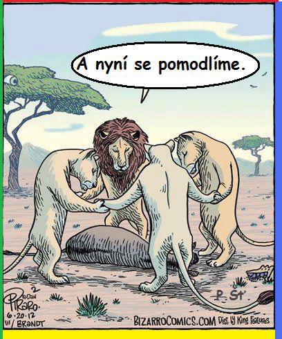 Vtip Nerařazeny