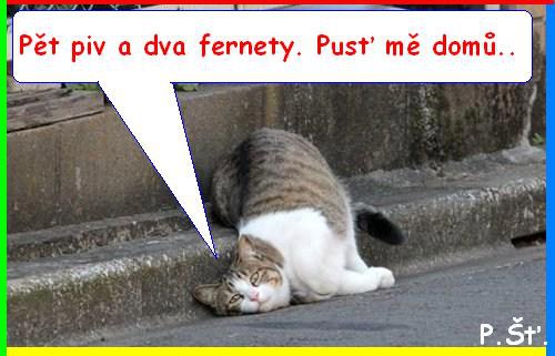 Vtip Nerařazeny